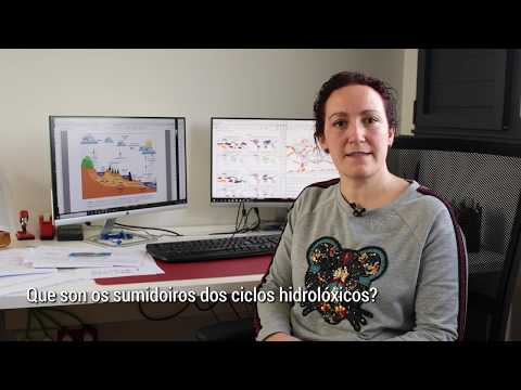Vídeo: Que son os sumidoiros dos ciclos hidrolóxicos?
