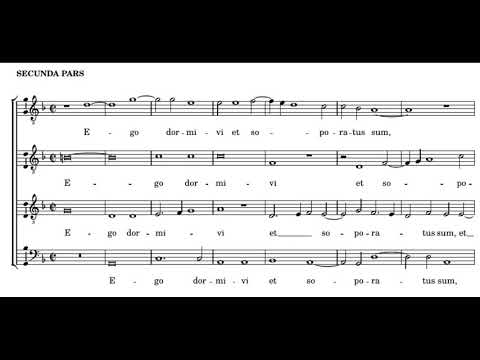 Willaert: Domine quid multiplicati sunt - Singer Pur