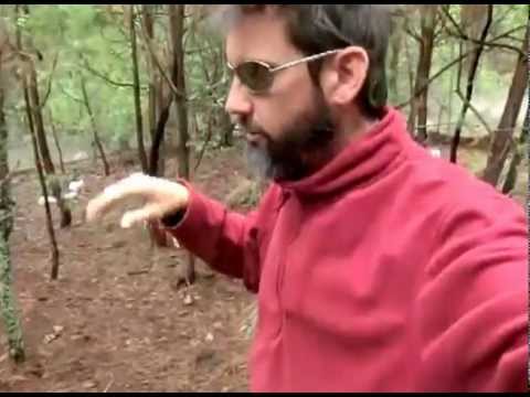 Some thoughts on raising rabbits with Brian Fey