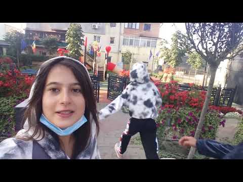 o zi de la Plugari!? *am văzut nişte căţei