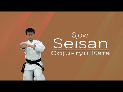 Goju-ryu Kata   Seisan（Slow）