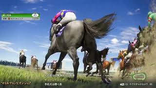 映像テスト (4K⇒エンコード1080p)