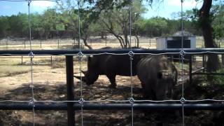 Natural Bridge  Wes + Adrienne