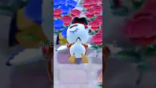 お花畑に倒れるカモメ