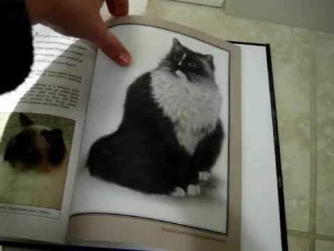 Ragdoll Cat Book - The Friendly Floppy Ragdoll Cat Review - ラグドール - Floppycats