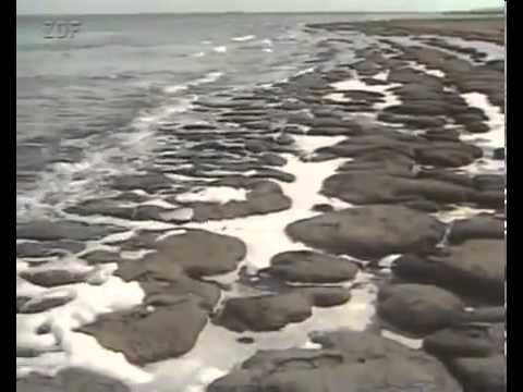 Am Anfang war das Wasser - Planet des Lebens - Teil 2