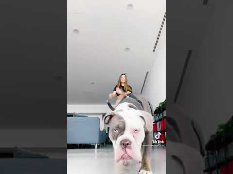 Tiktok di swami caputo