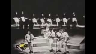 The Beach Boys - Help Me Rhonda
