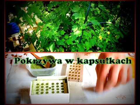 Owsiki i potencji Młot Thora tatuaż na szyi