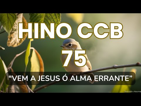 HINO 75 VEM A JESUS Ó ALMA ERRANTE | hinos ccb cantados, Cantados, ccb hinos, hinos CCB, CCB hinos