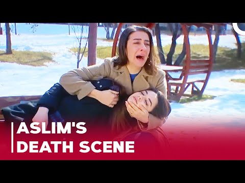 Ozan and Aslım Special Scenes Part 72 | Can't Stop Loving You