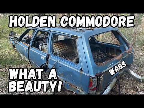 VC Commodore Wagon Lost and Decaying