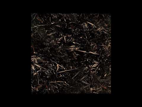 03. rogergoon & Arthrn - ANTS6