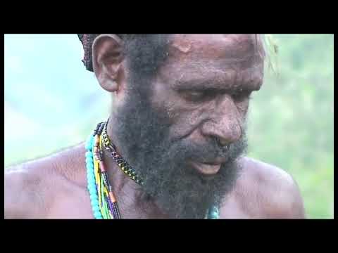 Forgotten Bird Of Paradise