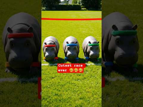 Cutest race ever 🥰 baby Hippopotamus #shortsfeed #aivideo #ai #shorts #art #competition #race