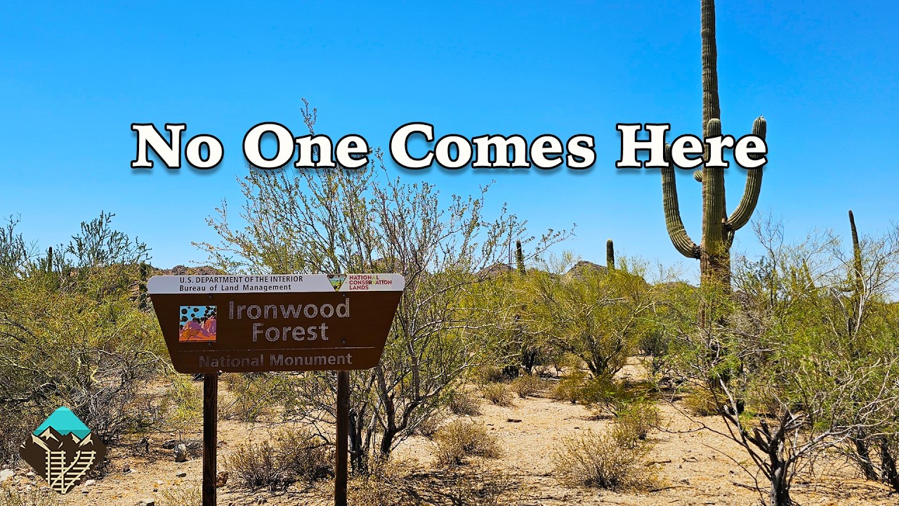 Exploring One of America’s Least Visited National Monuments - Ironwood Forest