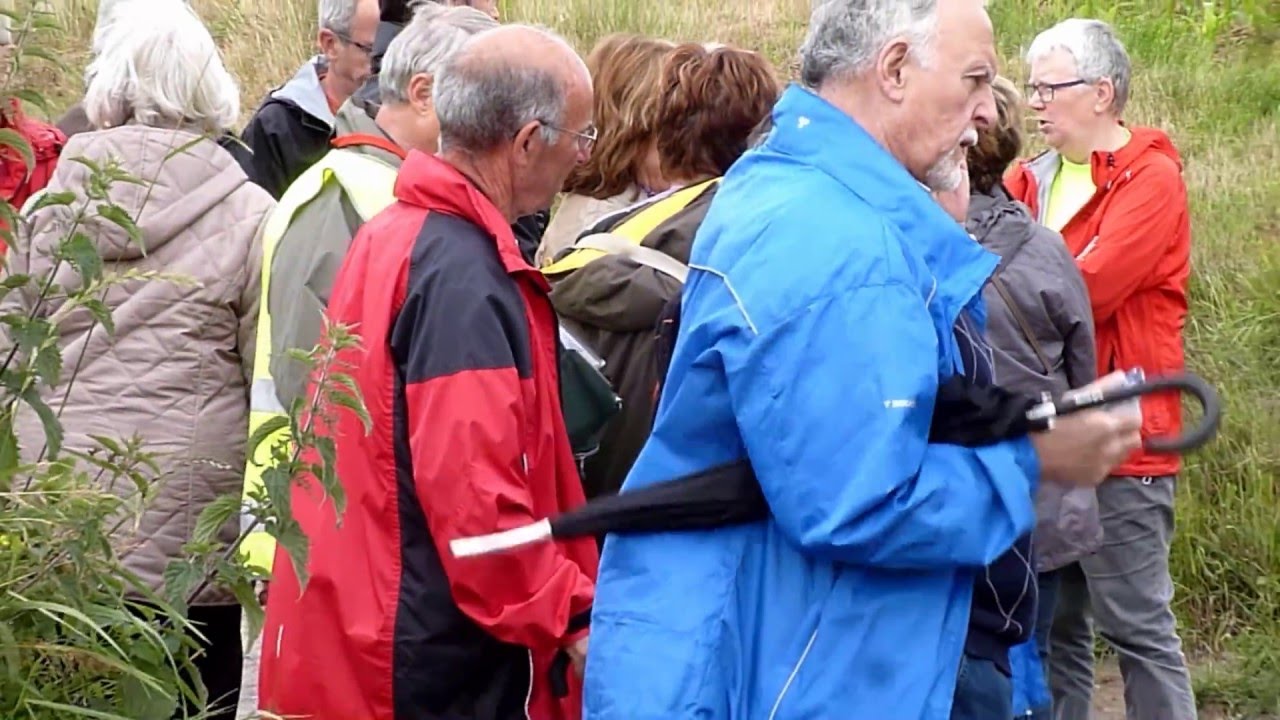 Windmolenwandeling te OLV LOMBEEK op 27-06-2013