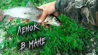 Ссылка