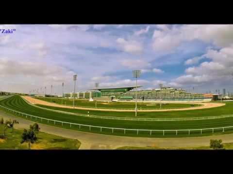 Horse Racing: "JUNGLE CAT" Winning in Meydan