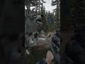 Wolf Pack ambushes me and friend