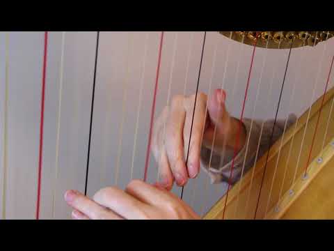 Slow Motion Monday ep. 18 - La Danse des Sylphes section (Godefroid)