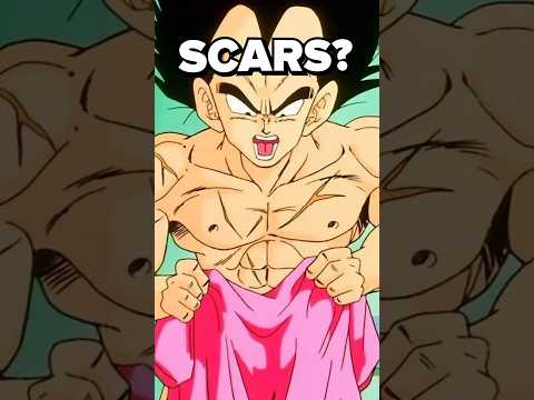 do you remember Vegeta’s SCARS?