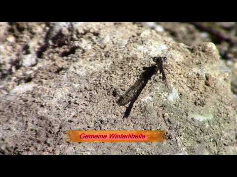 Wanderung Frühjahr 2022 rund um MG Neuwerk Mitte Teil1