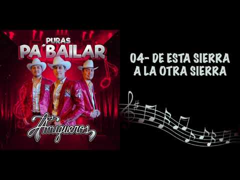 Los Amigueros De La Sierra - De Esta Sierra A La Otra Sierra (En Vivo)