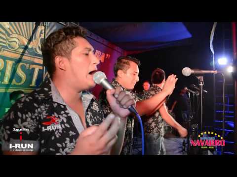 Ven Calma Mi Dolor - Zafiro Sensual ♫ En Vivo - Navarro Produccionesᴴᴰ ✓