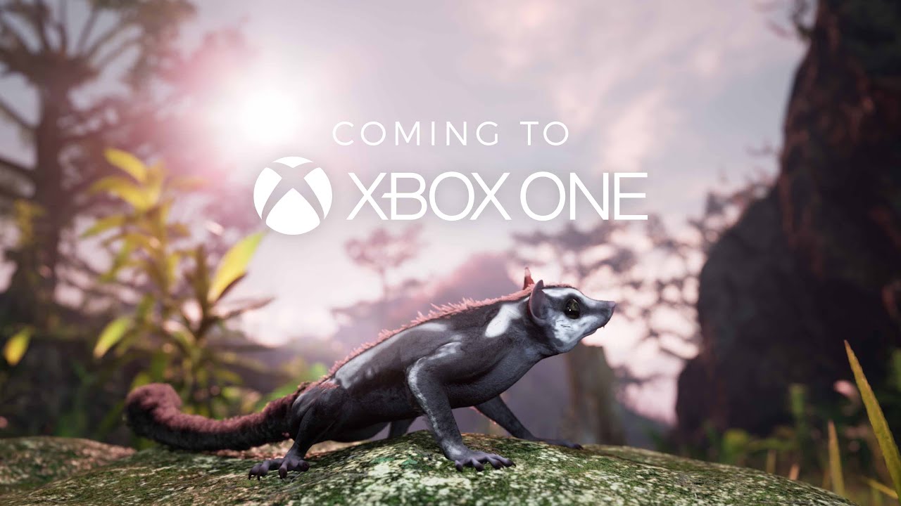 YouTube video: YouTube video player