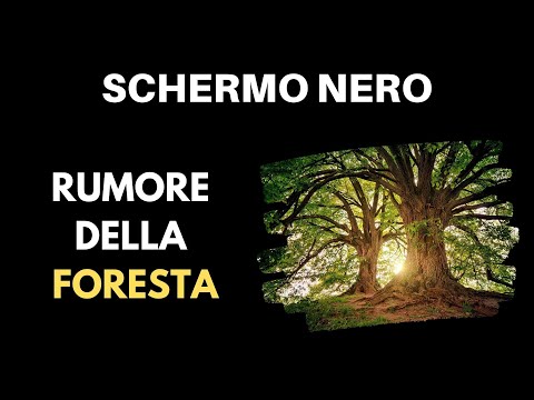 Suoni Della FORESTA | Schermo Nero ⚫🌳 [ASMR Rumore Bianco] 10 Ore Per Dormire