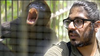 ZOOS ARE BAD and HERES WHY... (animals in cages)