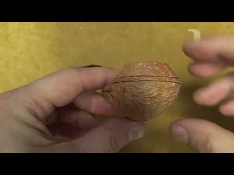 Pipa Santambrogio rusticata naturale  - Bent Rhodesian - SS299