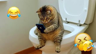 You Laugh You Lose 😄Funniest Cats and Dogs 😼🐶2026 || You’ll Laugh to Tears!