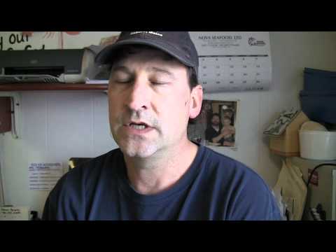 download lagu mp3 mp4 Maine Shrimp Recipes, download lagu Maine Shrimp Recipes gratis, unduh video klip Maine Shrimp Recipes