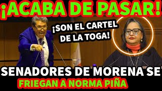 ¡ACABA DE PASAR! SENADORES DE MORENA SE  C H I N G A N  A NORMA PIÑA