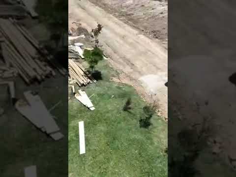 Lotes en venta B° Wabi, El Chorro, Punta del Este, URUGUAY, obras a dic. 2025, video 3