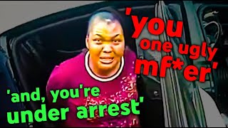 Woman Throws Tantrum and Berates Cops During Traffic Stop…
