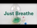 Creating Model Working Lungs: Just Breathe