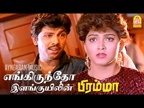 Engiruntho - 2K Video Song | எங்கிருந்தோ | Bramma | Sathyaraj |  Ayngaran Music