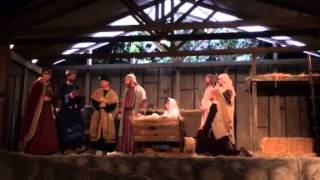 Cover art for wsg Draconic