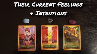 🤲💕 Their Current Feelings &amp; Intentions 💗💕 Pick A Card Love Reading 