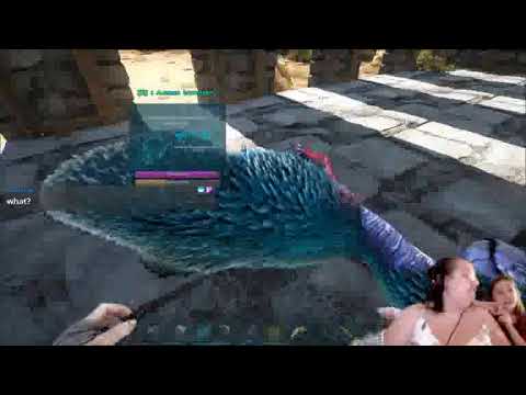 Terror Bird Tame 7/9/2020