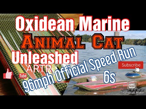 Oxidean Marine Animal Cat Twin|6s|  Speed Run 96mph|