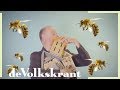 Het bijenhotel is populair, maar werkt het echt? - Klopt dit wel?  - de Volkskrant