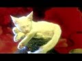White Cat