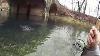 preview picture of video 'Bennett Springs Fly Fishing 1/3/2015 #1'