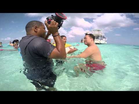 Stingray loves a kiss