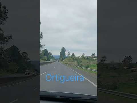 ORTIGUEIRA PARANÁ.