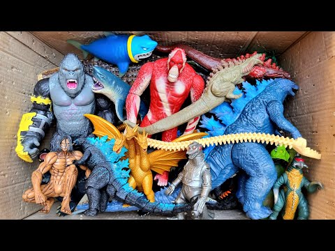 Hunting Godzilla x Kong, Skar King, King Ghidorah, Mechagodzilla, Shin Godzilla And More Kaiju